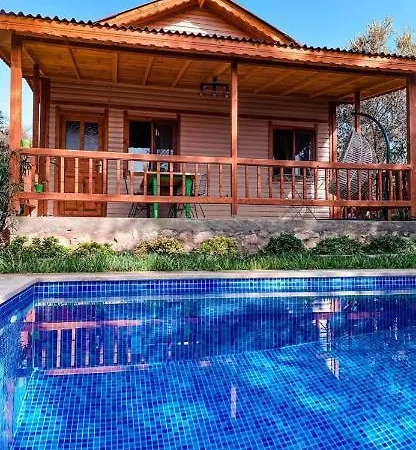Andizalti Doga Evleri Zeytin Ev *
