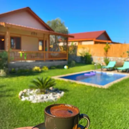 Andizalti Doga Evleri Zeytin Ev 빌라 *