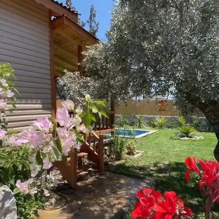 빌라 Andizalti Doga Evleri Zeytin Ev *